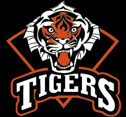 学习先进技术,促进合作交流——记北京猛虎棒球队冲绳集训