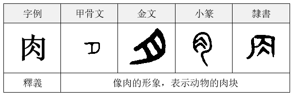 肉字的演变过程图片