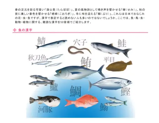 涨知识的6个日语工具网站,看完日语又提升了- 哔哩哔哩