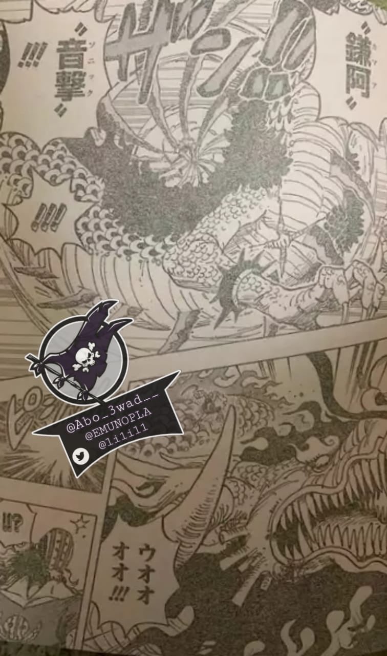 海贼王1002话解读 基拉伤到凯多 大妈畏惧索隆的攻击 她怕了 哔哩哔哩专栏
