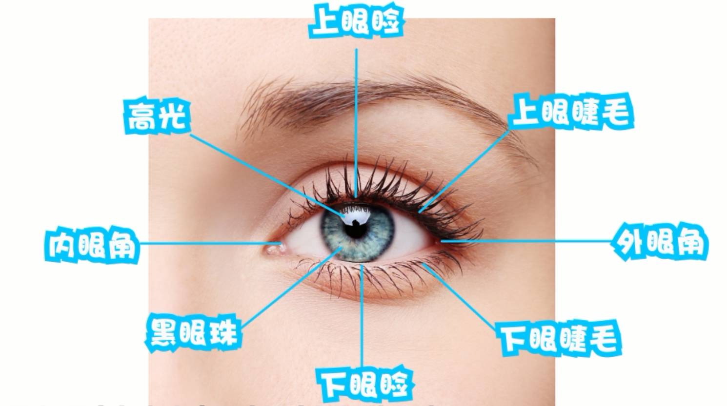 妈妈说看完后再也不怕画眼睛!