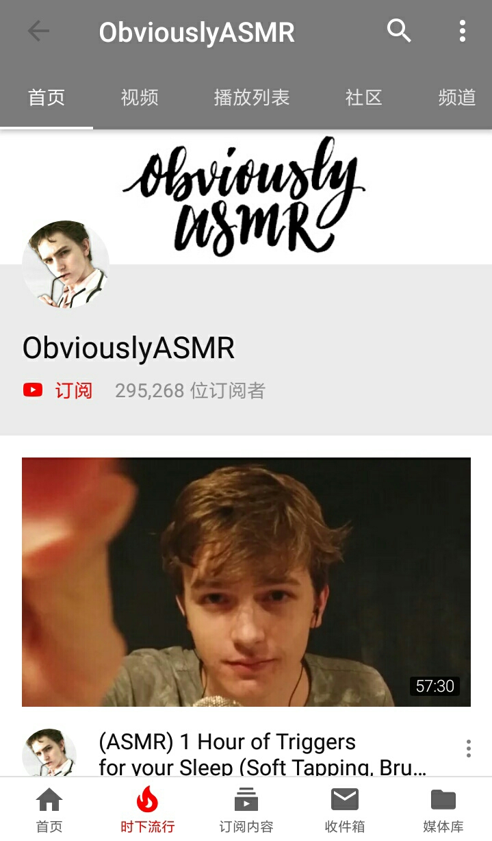 国外ASMR视频主(关注量的解析)(在B站比较知