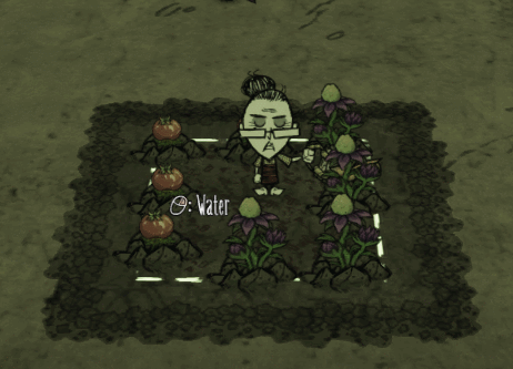 饥荒联机版 旧版农田已成过去式 新版耕地只需4步即可种出巨大化 哔哩哔哩