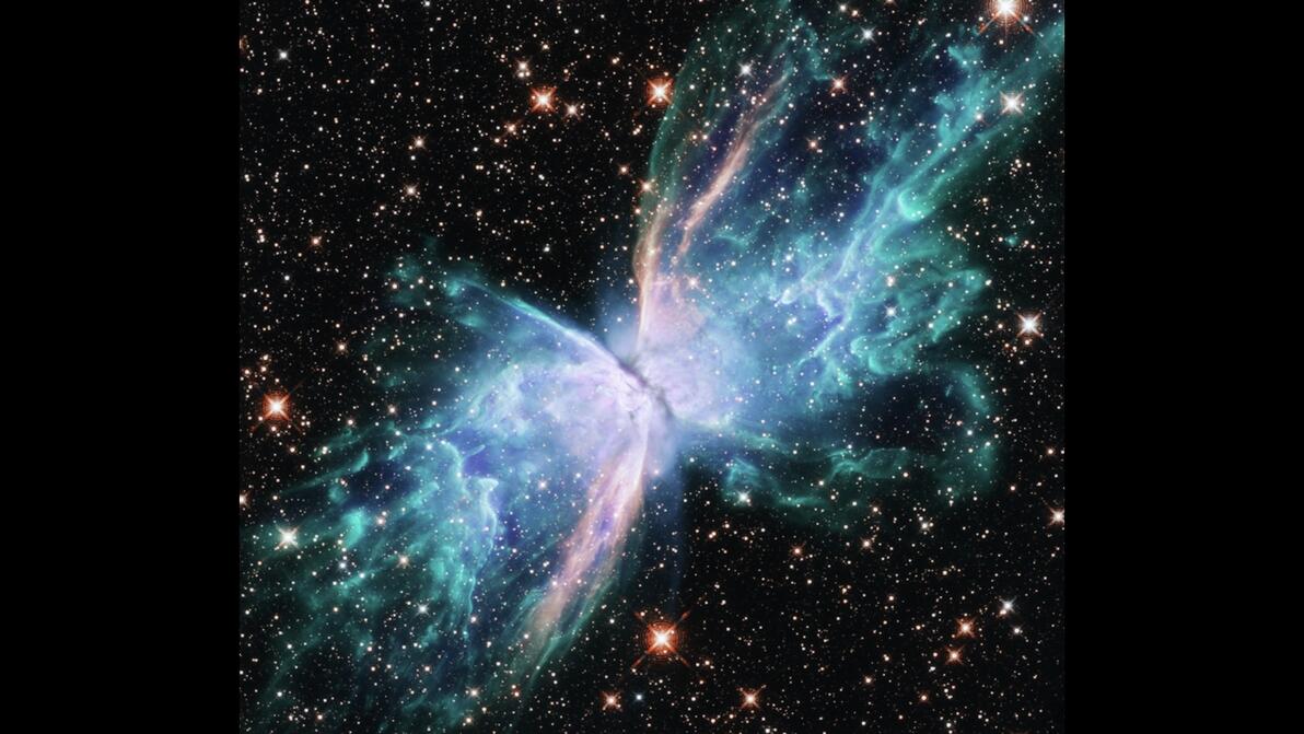 butterfly-nebula