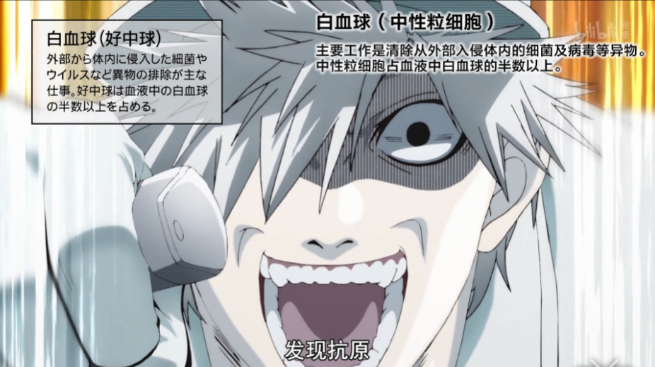 白血球(中性粒细胞):主要工作是清除从外部入侵体内的细