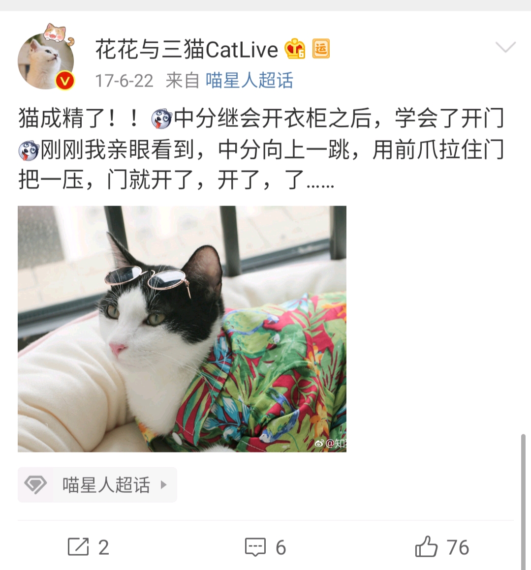 花花与三猫微博转载