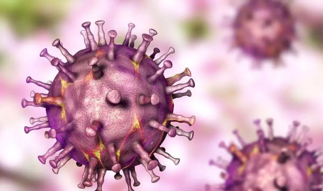 做好这些方面,秋冬季节远离口蹄疫