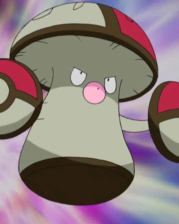 掩护催眠之王败露球菇疑似回归剑盾对战环境盾菇的前景将会如何