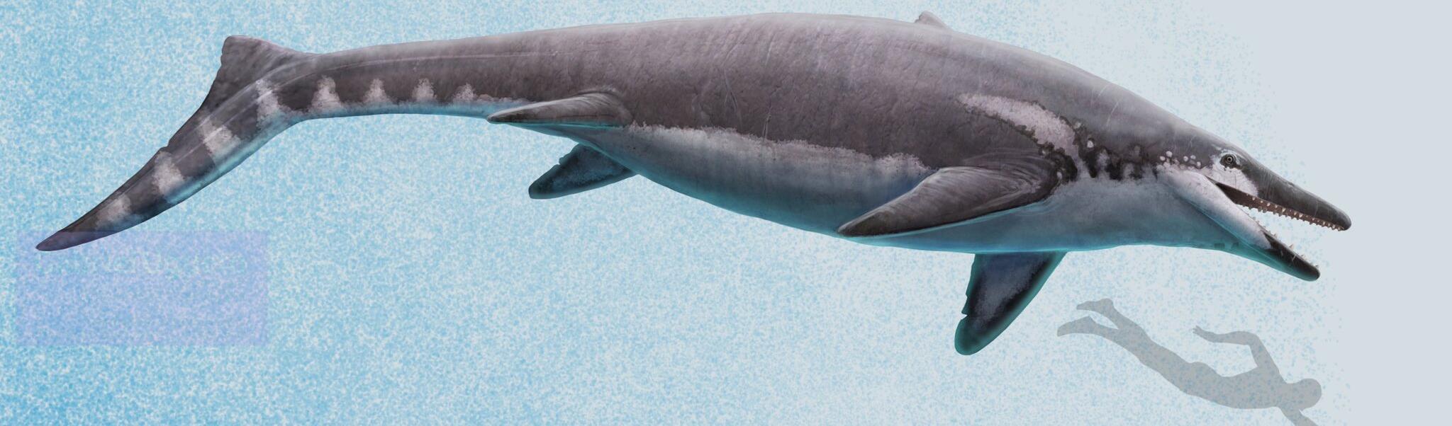 方舟生存进化模组生物介绍——依潘龙- 哔哩哔哩