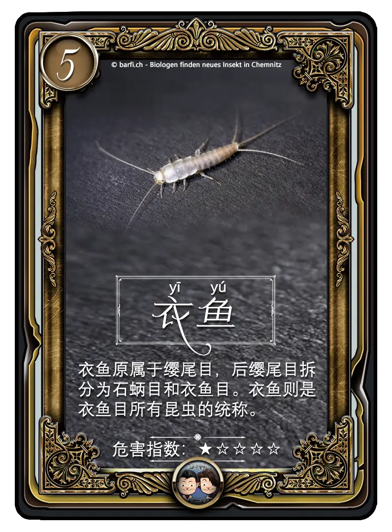 你绝对想不到你家有这么多虫子 家庭常见虫子超详细指南 图文版 多图慎入 哔哩哔哩