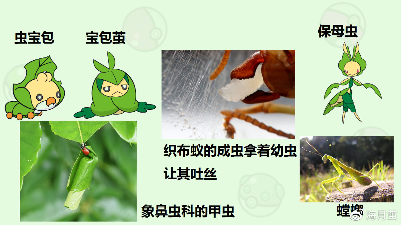 她力量·绽芳华｜雪都“石榴花” 伟德体育- 伟德体育官方网站- 伟德体育APP下载在方寸家务间闯出好日子