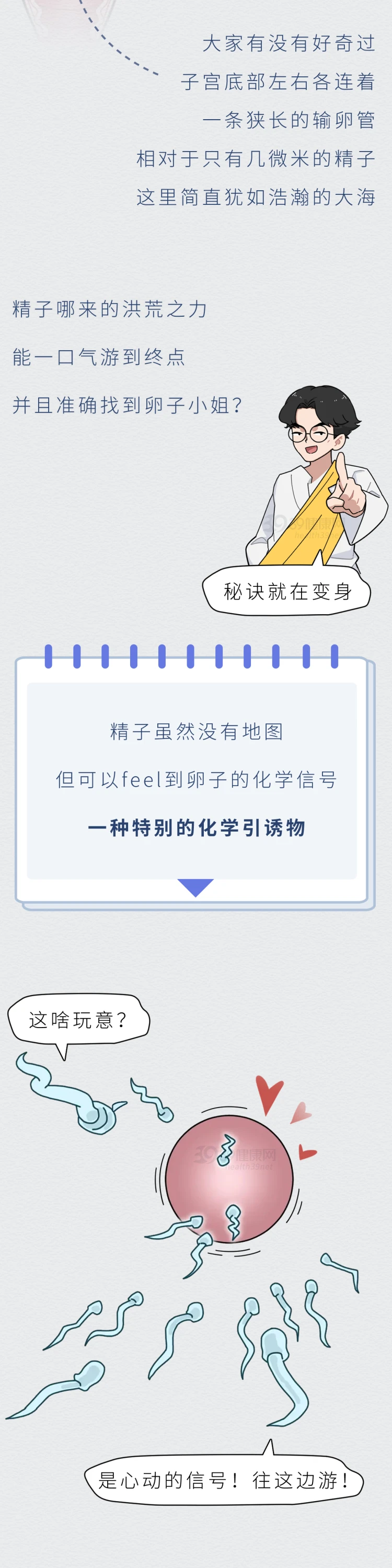 精子进入女性体内的24小时都发生了什么3