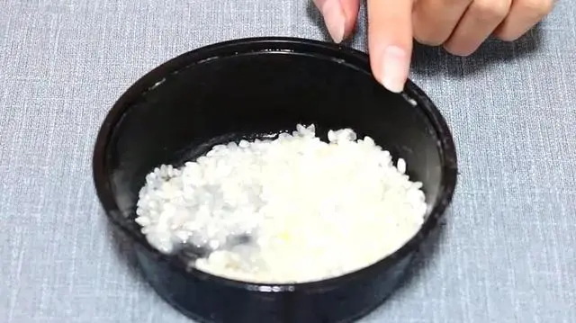 狗一直吃米饭 也长得很胖 为什么说狗一直吃米饭有害 哔哩哔哩