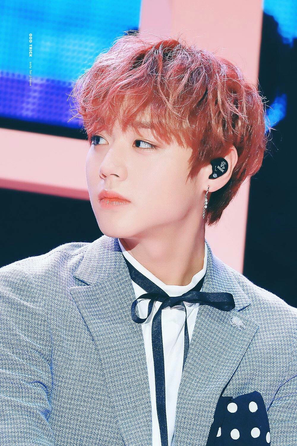 朴志训fm台湾场帅气小王子图片合集