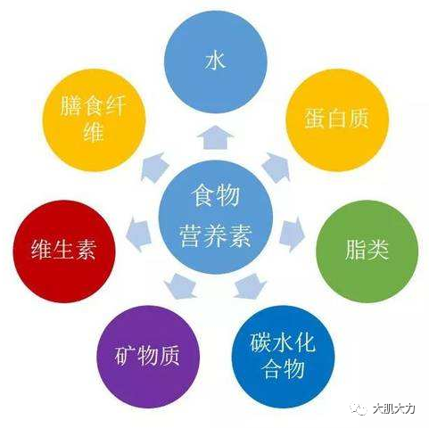 什么是食物的营养价值? - 哔哩哔哩