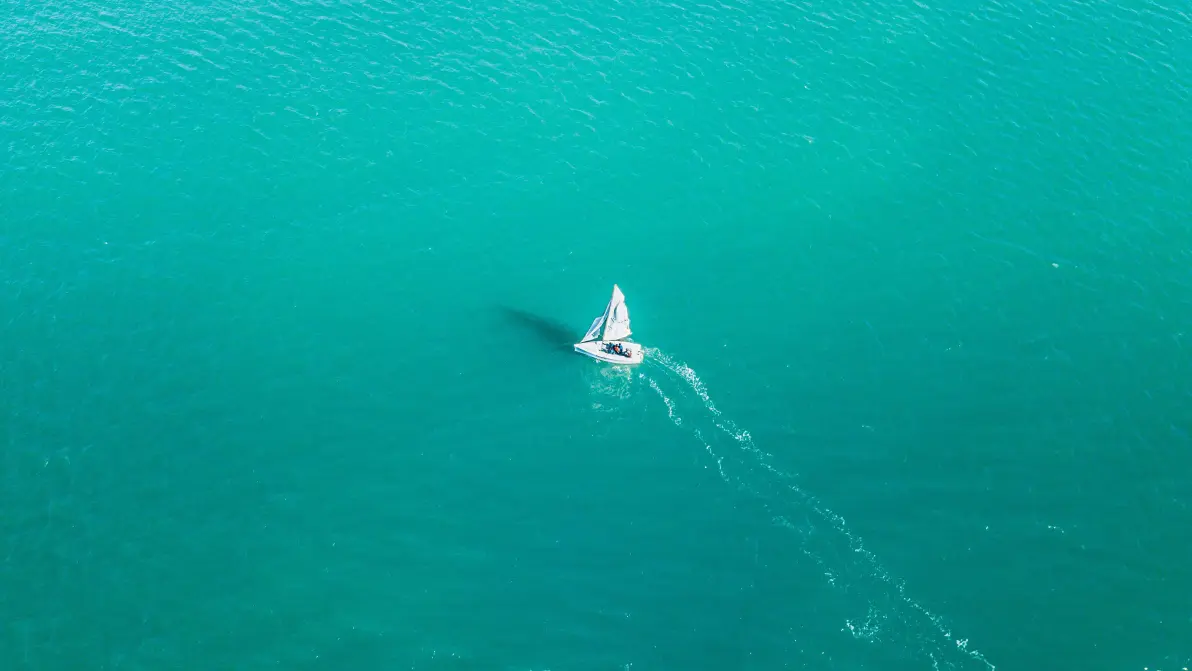 smartisan tnt 壁纸