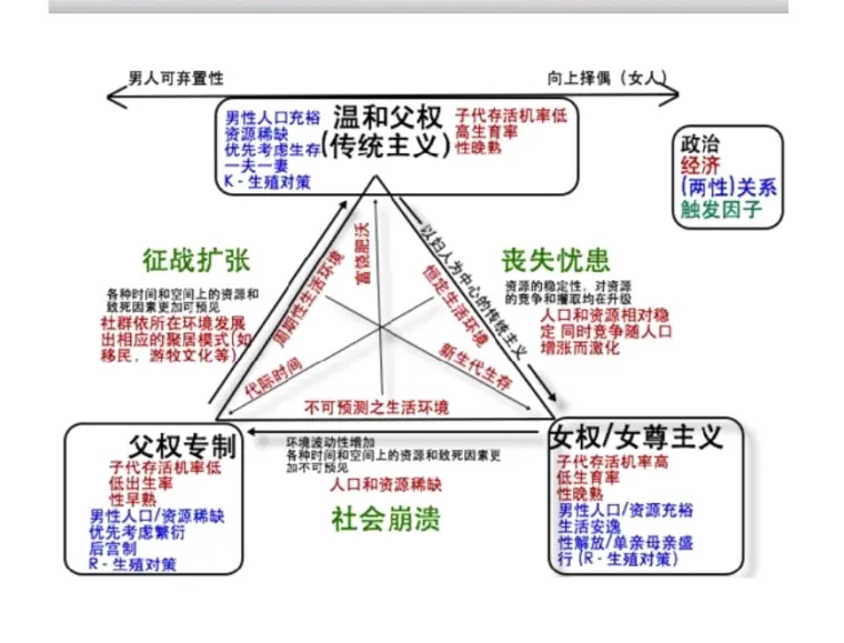 女本位对于男性的永恒悲剧性 女本位周期循环 哔哩哔哩