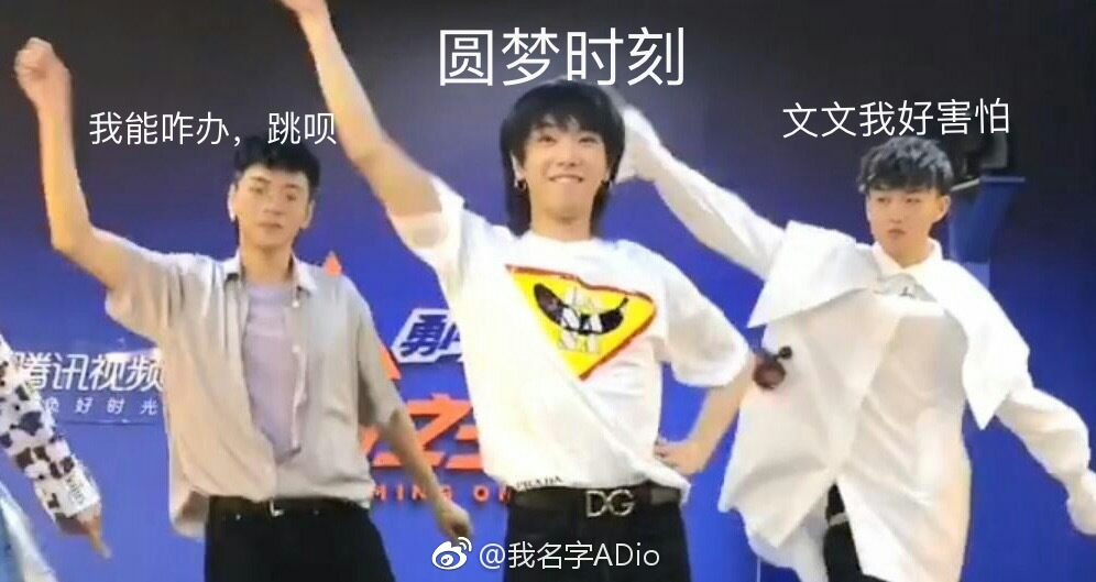 【双花 绒绒×奶宇】两软萌崽相遇必有一海螺花