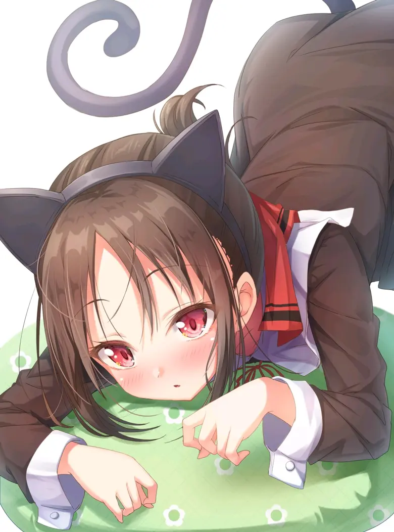 辉夜大小姐 辉夜图集猫耳专题 哔哩哔哩