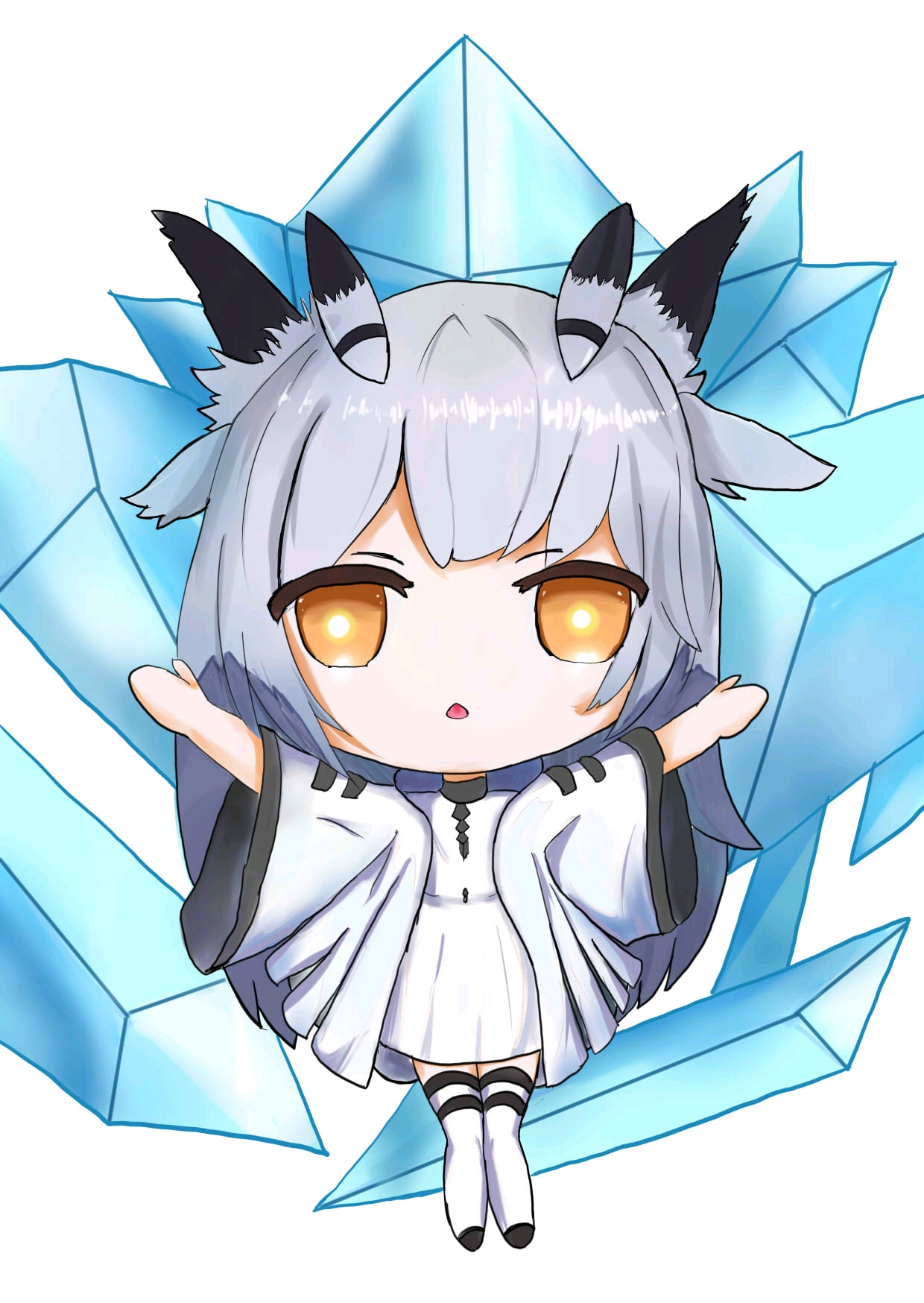 信仰白咕咕神教吧!特辑系列第1期——白面鸮篇