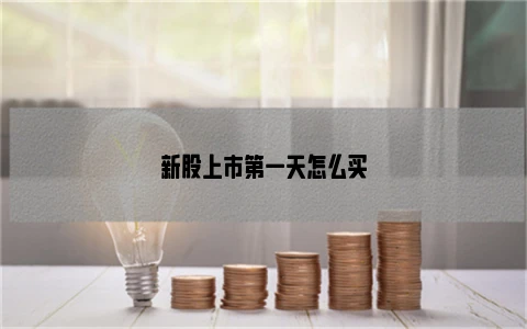 怎么买新上市的股票_新股上市第一天注意事项_如何购买新股
