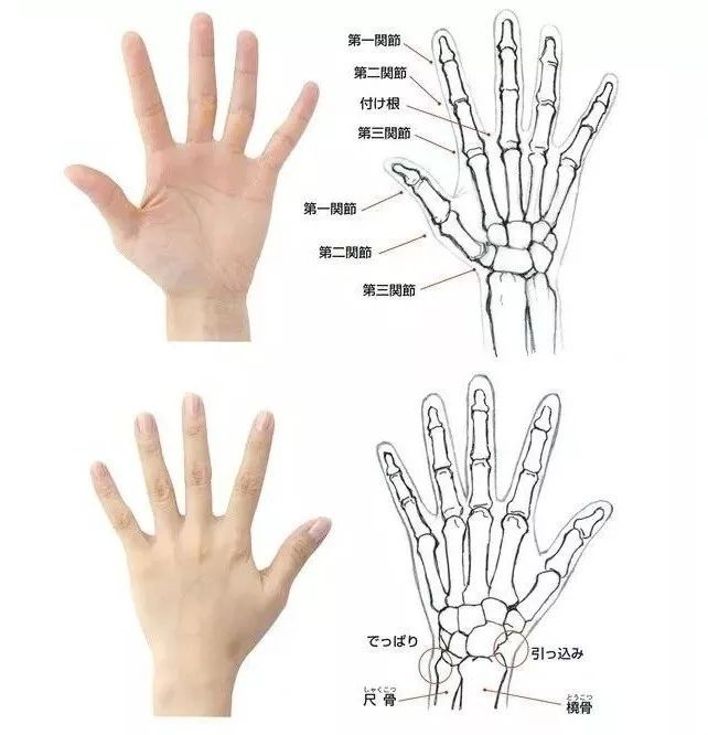 手怎么画,看这里,超实用的手部画法 - 哔哩哔哩