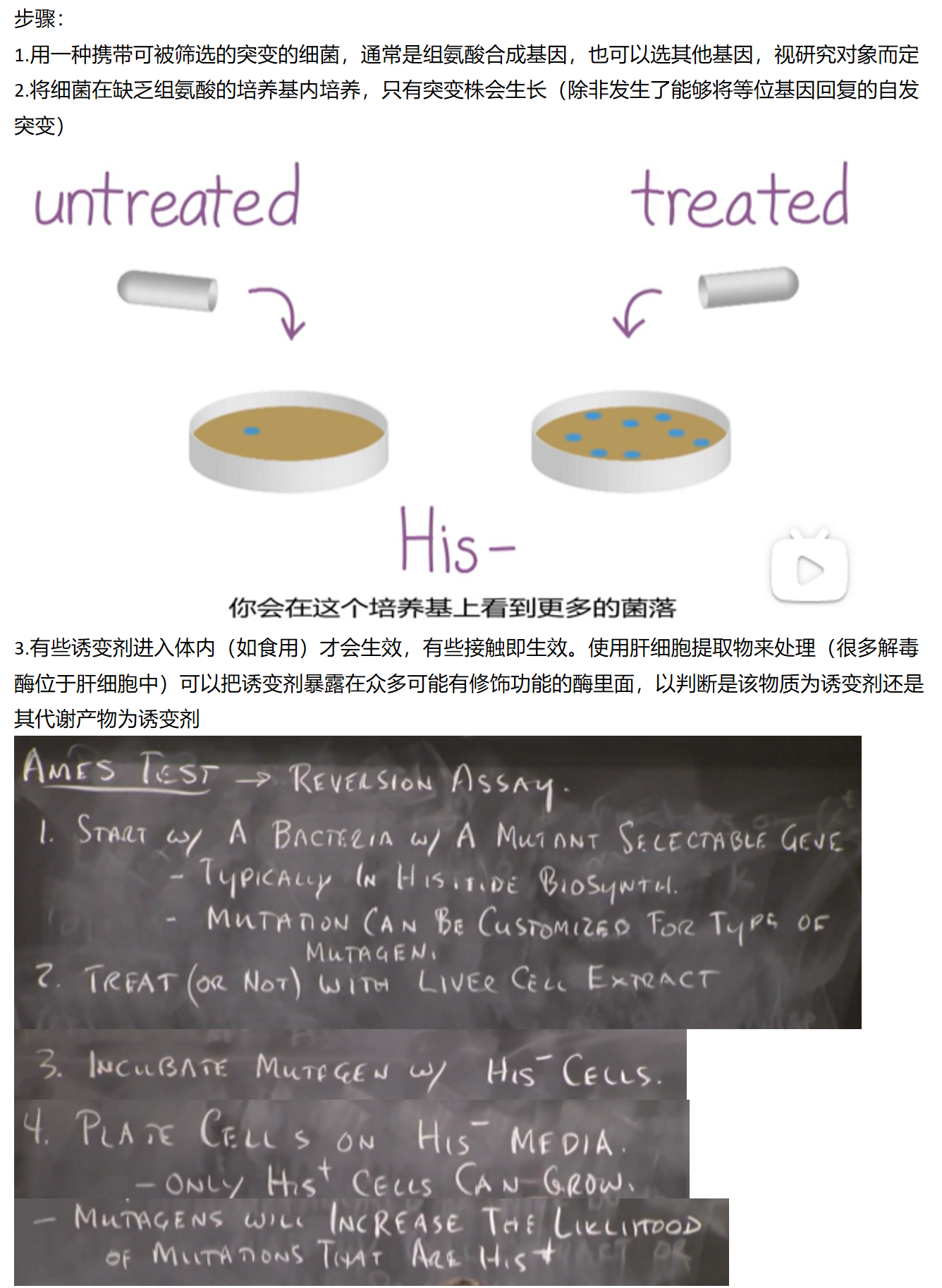 MIT 分子生物学 part1 13.4 Consequence of DNA Damage and the Ames Test 哔哩哔哩