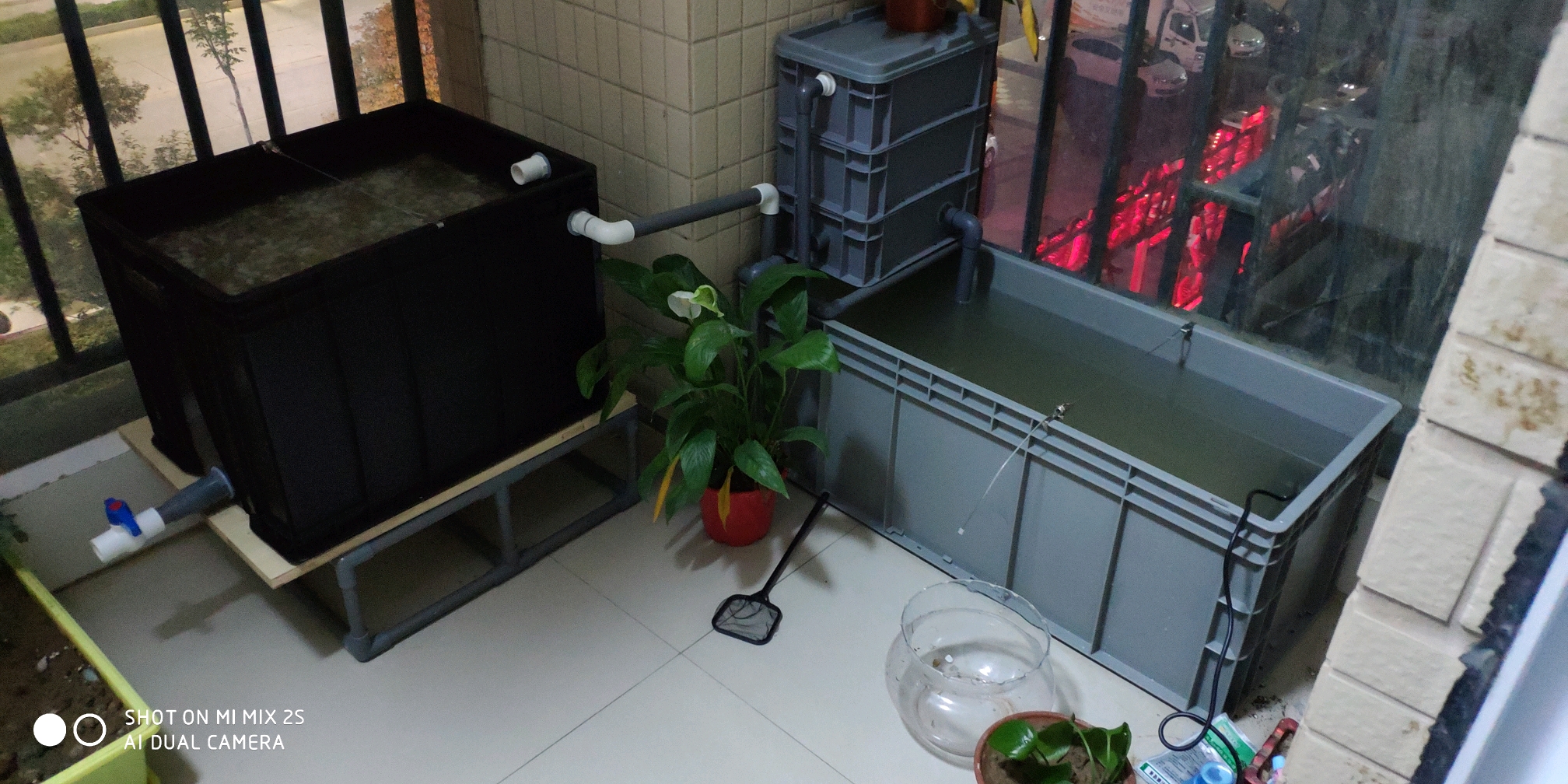 分享一下沼泽过滤的感受