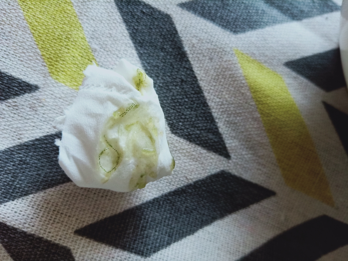 小番茄 六个小金桔 (海草最后没有吃完,因为我在里面发现了虫卵……)