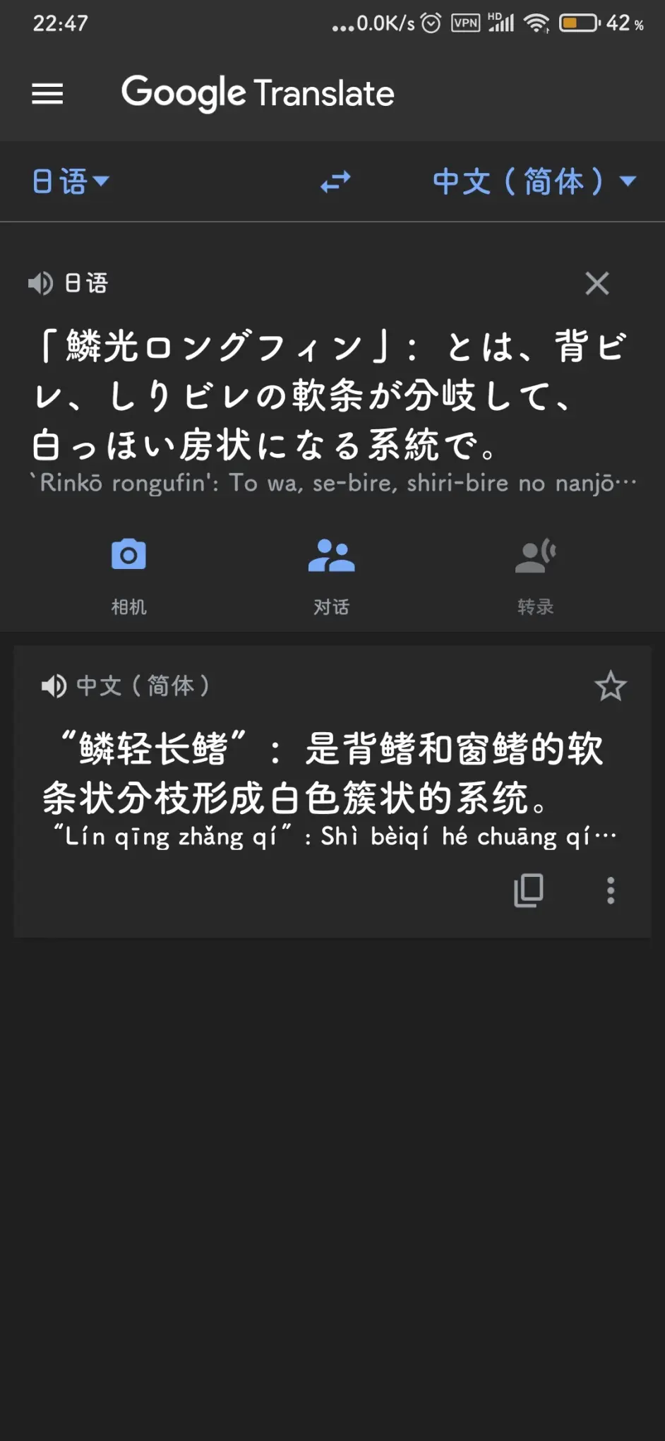 高清观背青鳉壁纸 哔哩哔哩