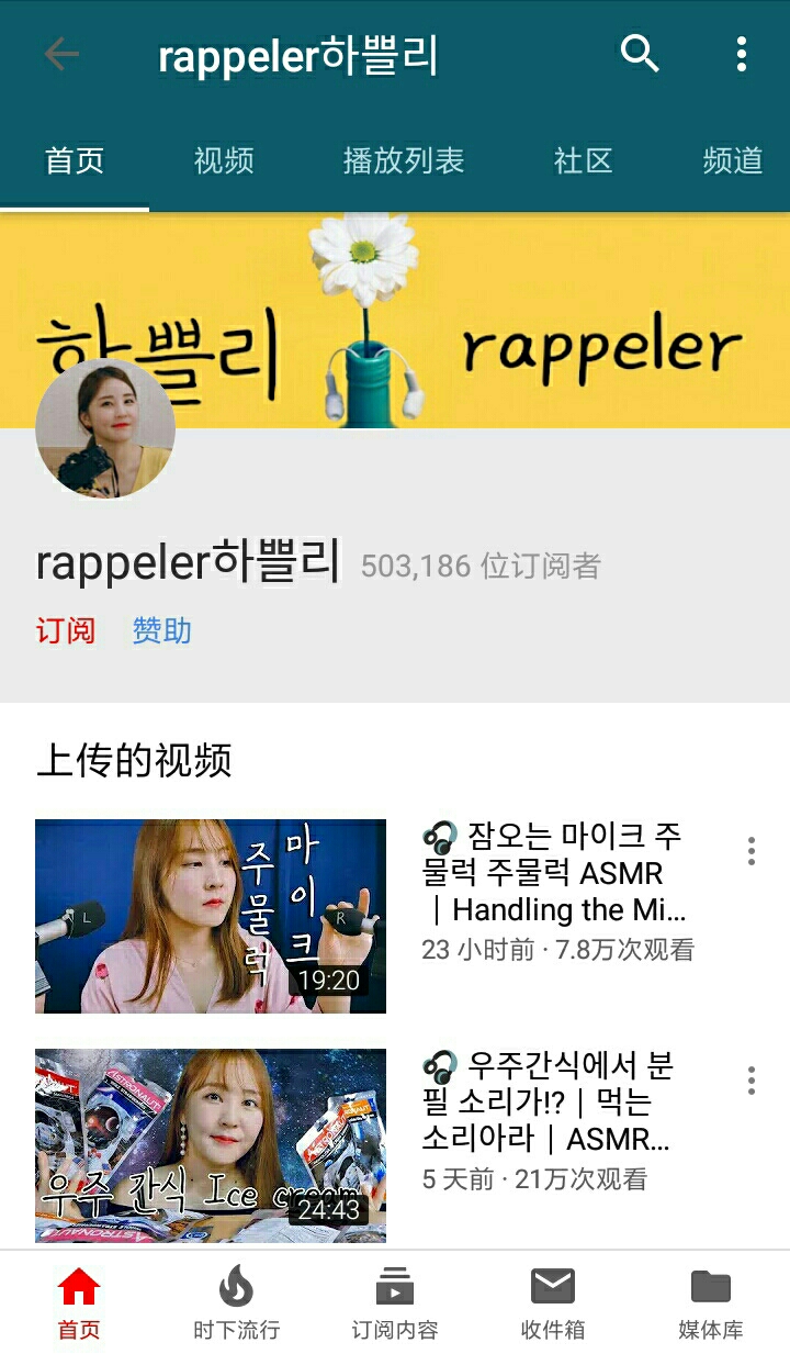 国外ASMR视频主(关注量的解析)(在B站比较知