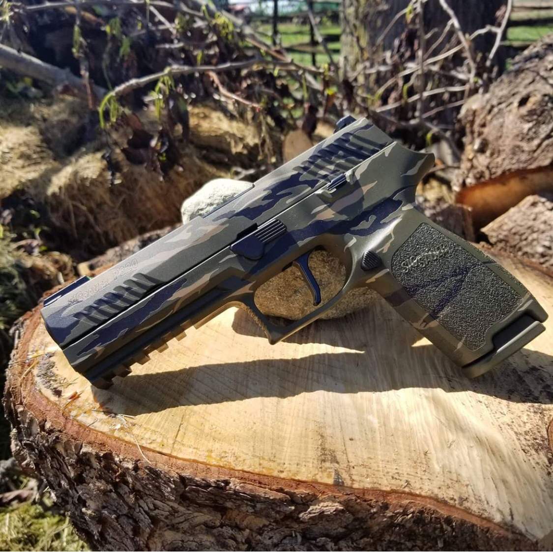 手枪 军事 枪械 m17 m18 p320 西格绍尔 -- -- --           分享到