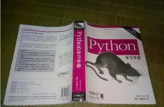 零基础小白为什么要选择python作为第一语言 清华大佬强势推荐的入门手册现有电子版了 哔哩哔哩