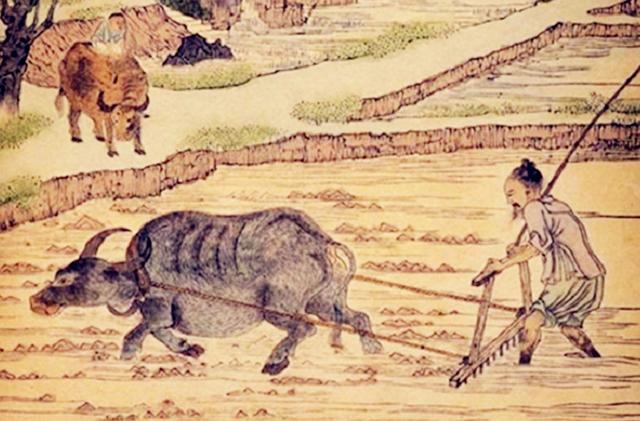 “一亩三分地”这个说法很多人都知道，但是，他的意义却鲜为人知 - 哔哩哔哩