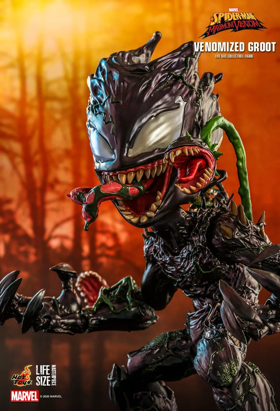 hottoys推出蜘蛛侠第三季11大小的毒液化格鲁特