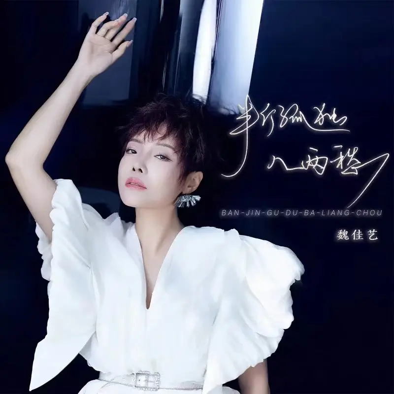 听见好音乐《半斤孤独八两愁》制作人:聂小慧
