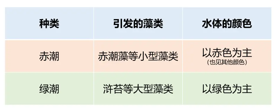 这种灾害让海滩变 草原 网友 吃就完事儿了 哔哩哔哩