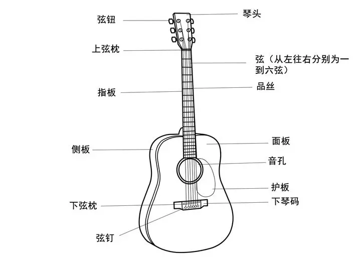 初学者选什么样的吉他 零基础新手小白必看的全网最全品牌推荐 干货满满请别错过喔 哔哩哔哩