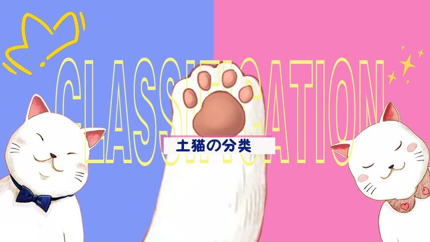 中华田园猫 花色分类 诗意昵称史上最全 伊种生活 哔哩哔哩
