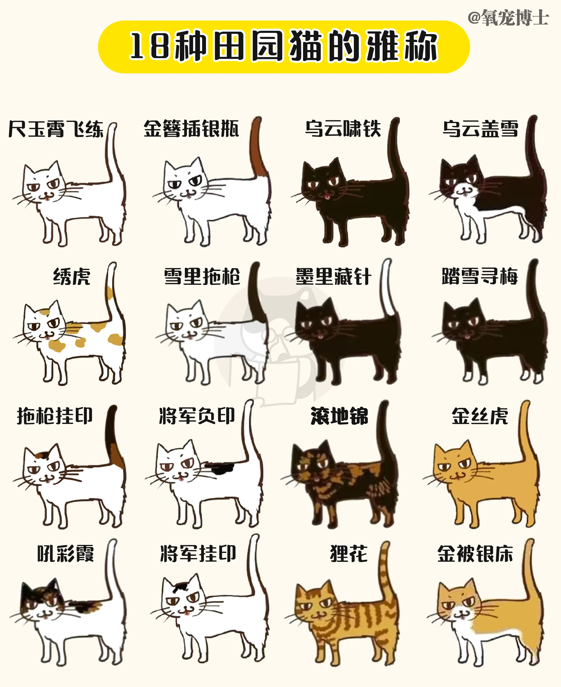 18种田园猫咪的雅称|每个名字都很雅致! - 哔哩哔哩