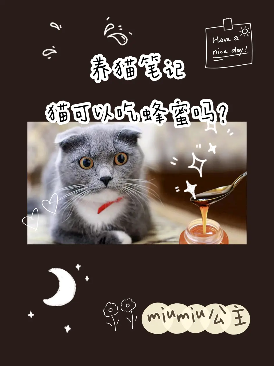养猫笔记:猫可以吃蜂蜜吗？ - 哔哩哔哩