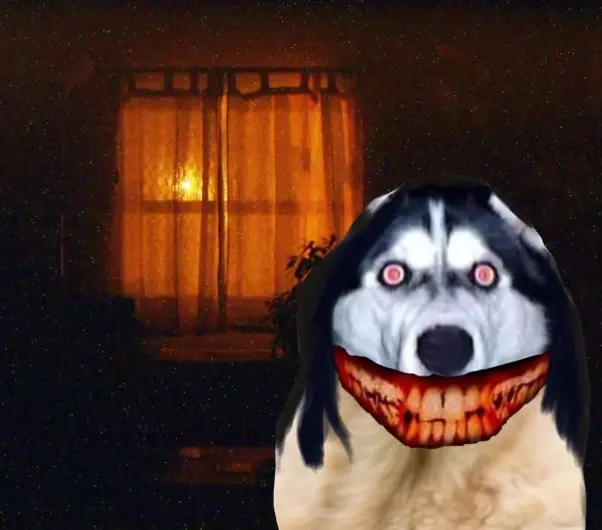 微笑狗的制作素材