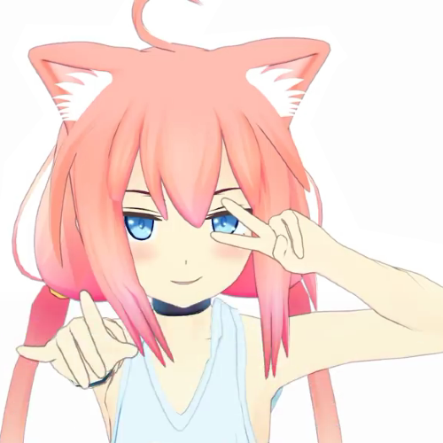 全部都是猫宫老大! [多图注意]