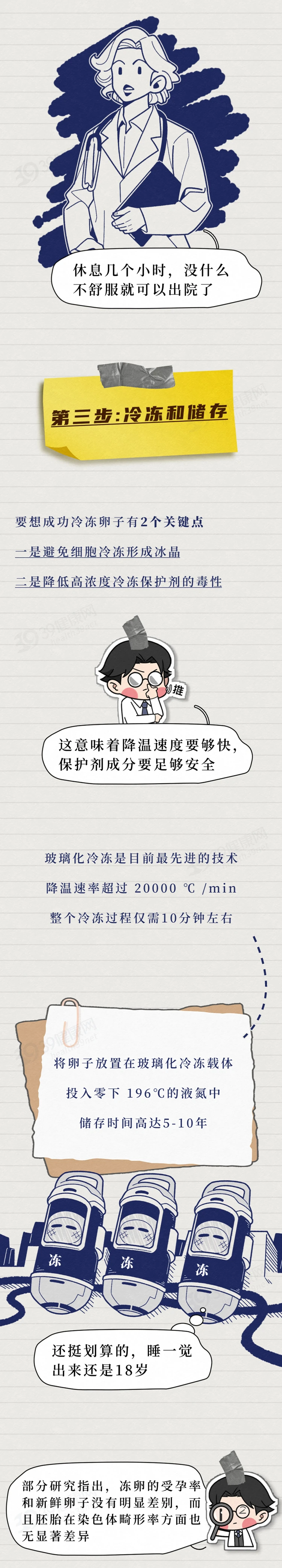 年龄越大，卵子越差！不婚的单身女性选择冻卵后，都怎样了？图5