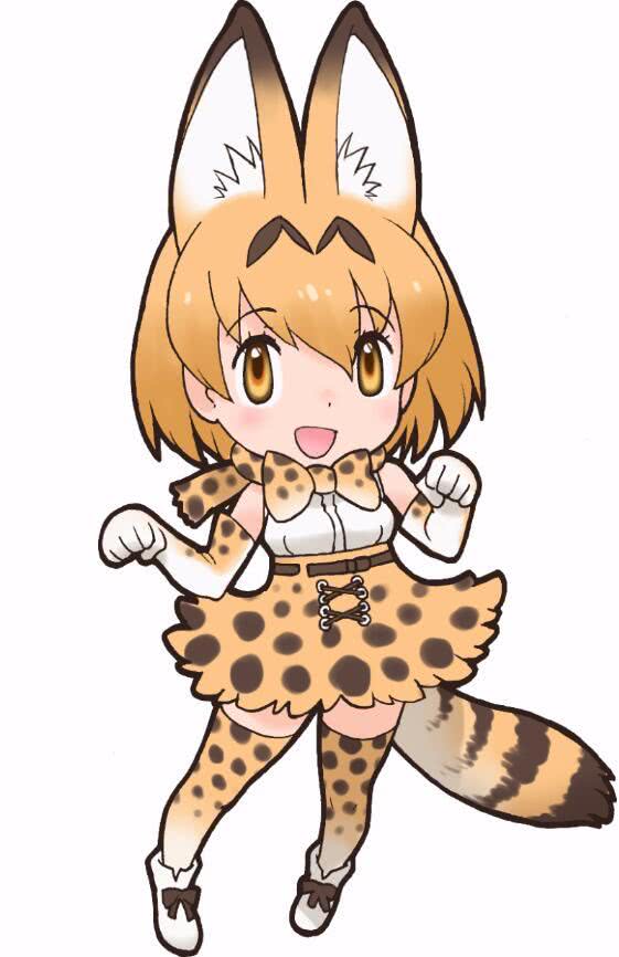 《兽娘动物园》与冈山县自然保护中心联动