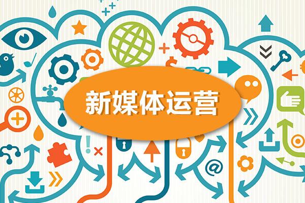 品牌发布会：探索创新与未来
