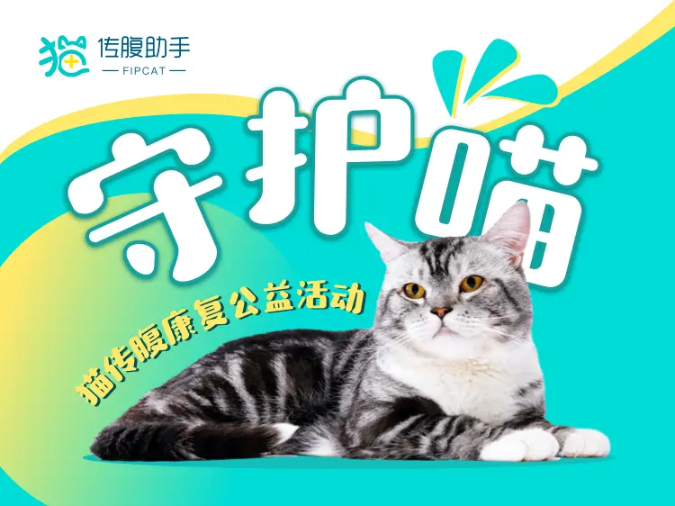 猫腹水和猫传腹 还傻傻分不清楚 哔哩哔哩