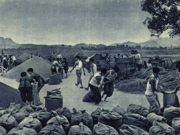 老照片1960年我国经济建设的巨大成就