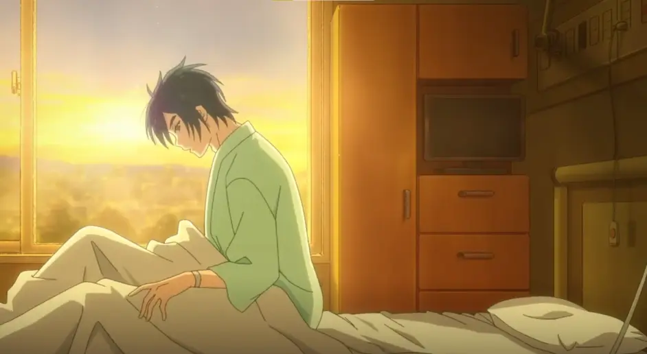 Anitama News 14 Bilibili 专栏版 哔哩哔哩