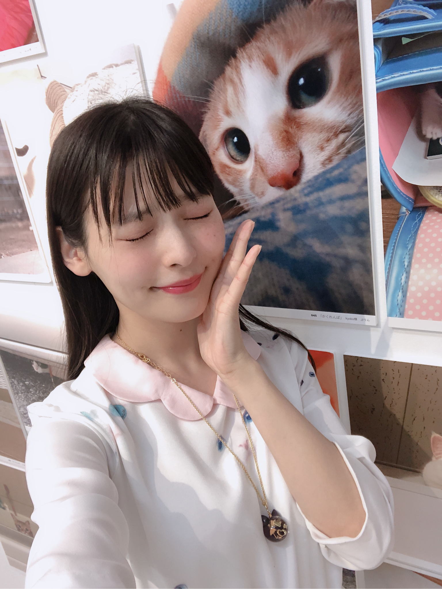 [爱我苏联]【上坂堇】突然猫片展(3.19)